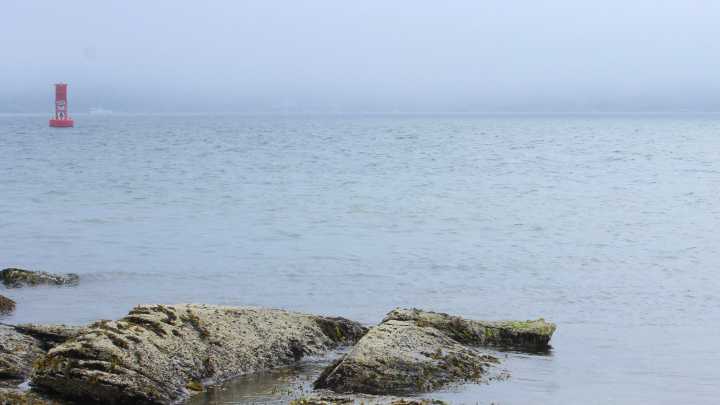 These navigational buoys may be removed from RI waters. Here's the list.