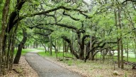 Construirán 160 kilómetros de senderos para bicis y caminatas que conectarán Austin y San Antonio