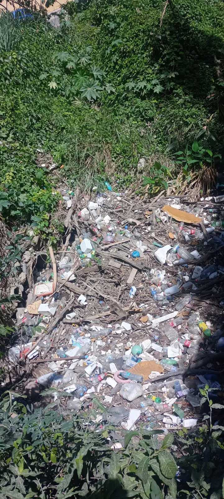 Vecinos de la colonia Bobadilla denunciaron la acumulación de más de una tonelada de basura