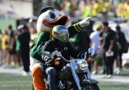 What time, TV channel is Oregon football vs. Indiana today? Odds, streaming, how to watch