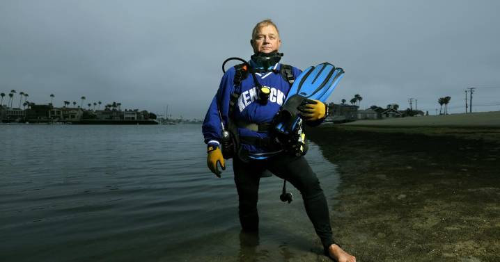 A retired teacher found some seahorses off Long Beach. Then he built a secret world for them