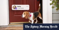 Life360 pet tracking: Family GPS app enables tracking for dogs and cats using satellites