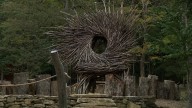Wheelchair-accessible treehouse opened Saturday at Bernheim Forest and Arboretum