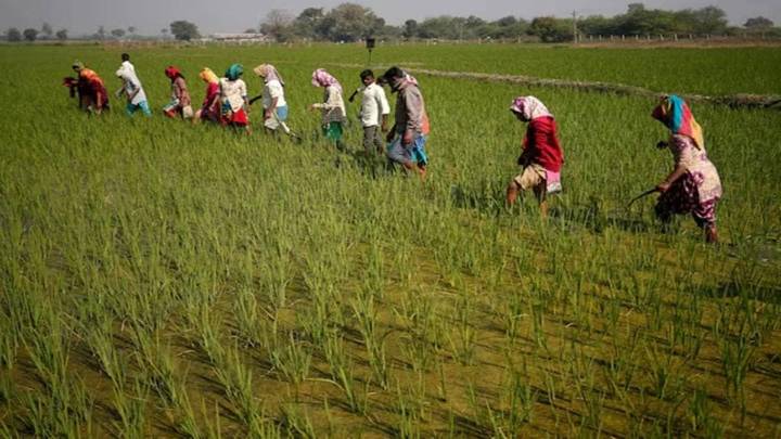 Better food, fairer trade