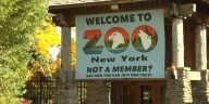 New York Times article spurs national support for Watertown zoo