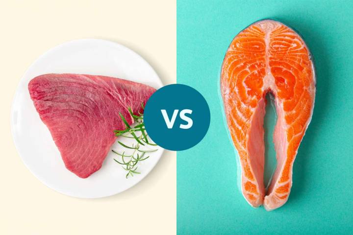 Salmon vs. Tuna: Which Is Better for Omega