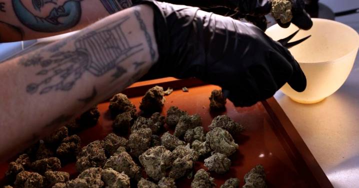 Wildwood-based cannabis manufacturer has more unpaid bills