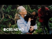 Jane Goodall dies at 91