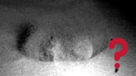 Científicos revelan la verdad del video que mostraría al primer ser extraterrestre excavando en Marte