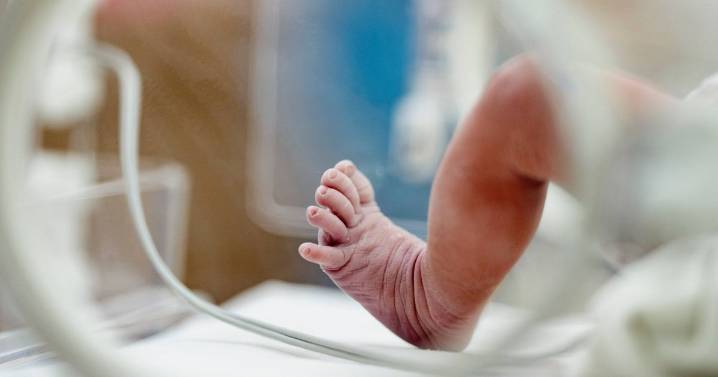 'Alarming' surge in antibiotic-resistant infections among babies, study warns