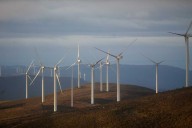 Plataforma Defensa Sur de Cantabria presenta recurso de alzada contra la autorización del parque eólico Sierra de Zalama