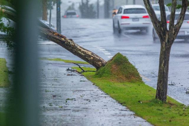 250 lives lost on QLD roads - Ipswich West Moreton Today