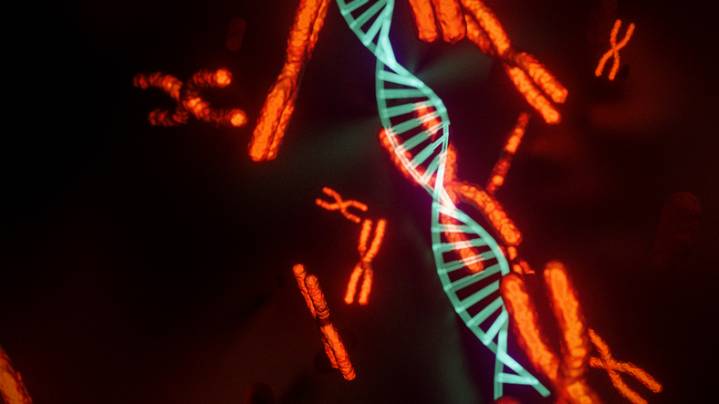 X-Linked Gene Drives Brain Inflammation in Women