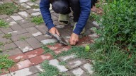 Stop Weeds From Growing Between Pavers With A Natural Solution