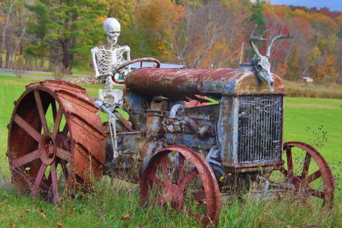 Halloween parades and parties in Ulster County, 2025