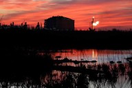 Louisiana judge halts key LNG project permit | New Orleans CityBusiness