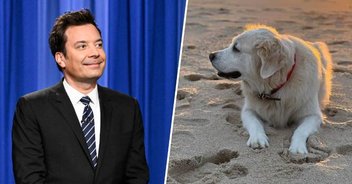Jimmy Fallon's Dog, Gary, Dies