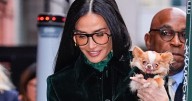 Demi Moore Takes Pilaf on a New York City Safari in a Green Velvet Saharienne
