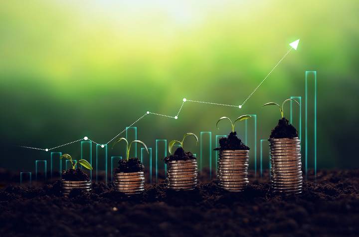 Rubicon Research Raises Rs 619 Crore From Anchor Investors Ahead Of IPO