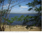 Orinoco, Venezuela en ti suspira… con sentir italiano