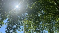 Sunny skies return to Seattle after fall storm clears out