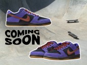 Nike just revealed a fresh take on its SB Dunk Low skating shoe
