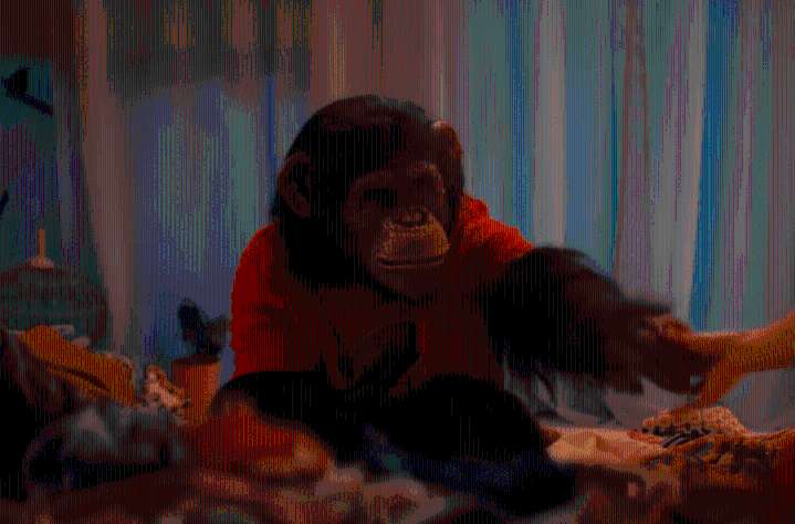 Have You Ever Seen A Pet Chimp Goin’ APES***? One Murderous Monkey Stops The Show In Terrifying Trailer For ‘Primate’