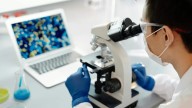 Crean óvulos fecundables con células de la piel utilizando técnica de clonación de la oveja “Dolly”