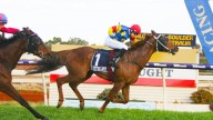 RACING 
                                          Comments
                                        
                                          Premium
                                        Magnif