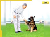 Ratan Tata's first death anniversary: How late tycoon ensured care for his dog