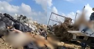 Escándalo en Coahuila: tiran cuerpos de perros en el basurero de Piedras Negras