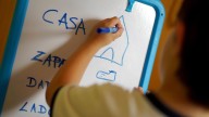 El Gobierno fijará un mínimo de docentes especialistas para alumnos con necesidades especiales