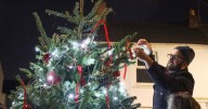 Magic of Christmas coming to Plymouth with special 'bloom' event