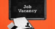 DDA recruitment 2025: Apply for 1732 MTS, Patwari and other posts till November 5, details here