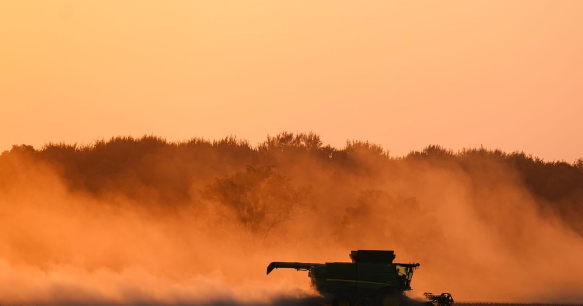 Trump plans aid package for US soybean farmers while seeking trade deal with China