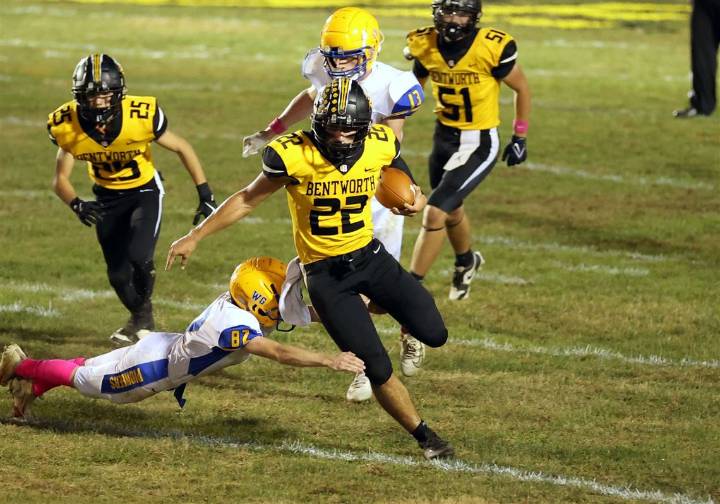 WPIAL/City League football statistical leaders after 7th week of season