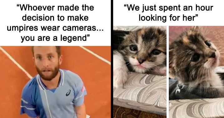 37 Wholesome Memes And Posts That Remind Us The World Isn’t All Bad