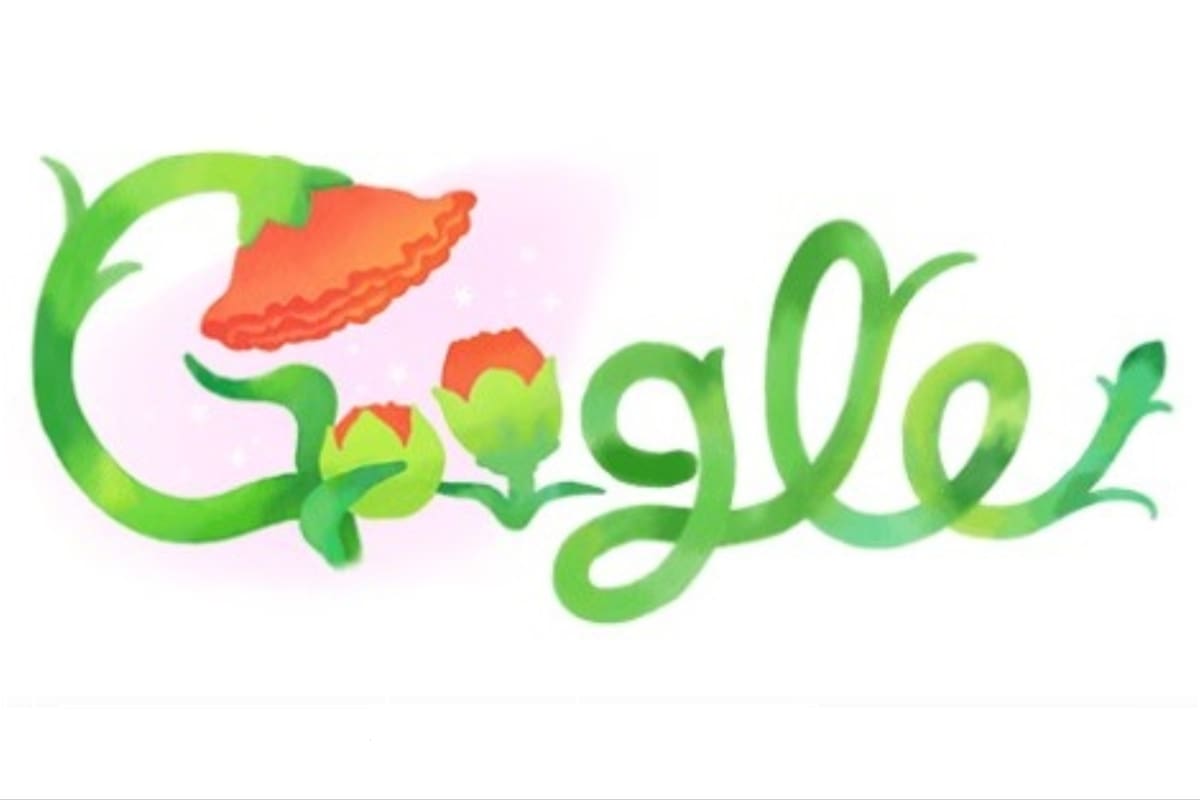 Google. El emotivo doodle que celebra el Día de la Madre en la Argentina