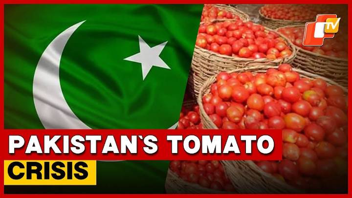 Tomato Prices Skyrocket In Pakistan Amid Border Closure With Afghanistan