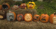 Anderson Japanese Gardens gets into spooky spirit