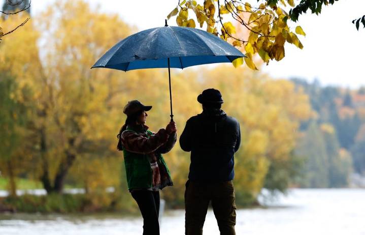 Power back for most of 250K who lost it in Western WA windstorm