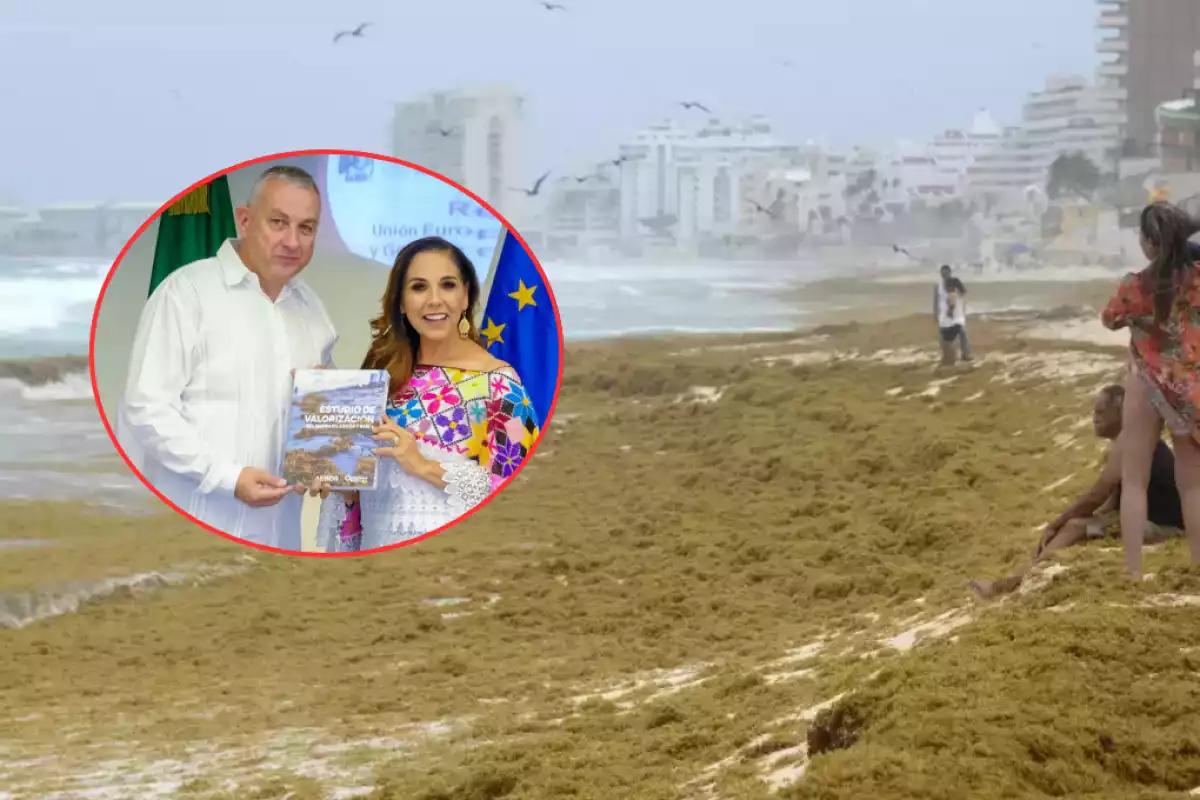Quintana Roo transforma el sargazo en energía limpia: La primera planta de biogás del país procesará 300 toneladas diarias