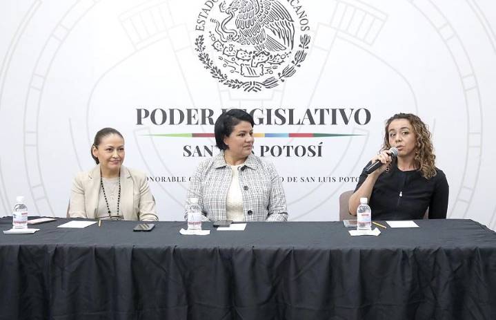 Nueva Ley de Lactancia para SLP contribuye a la salud pública de los niños potosinos: Mireya Vancini