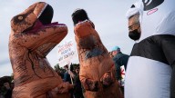 Manifestantes contra Trump recurren al humor: los disfraces inflables toman las calles