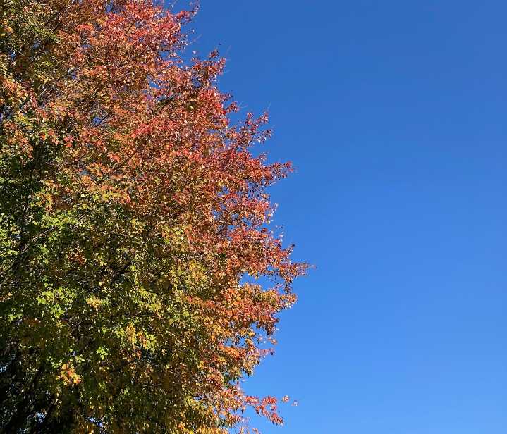 Chilly, rainy Wednesday in central Pa. to be followed by cold mornings