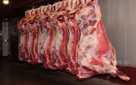 Muthida Majlis Ulema calls for local procurement of poultry and meat products