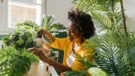 The Native Environment Your Houseplants Thrives In (And How To Replicate It At Home)