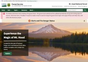 Message on U.S. Forest Service websites blamed ‘radical left democrats’ amid government shutdown