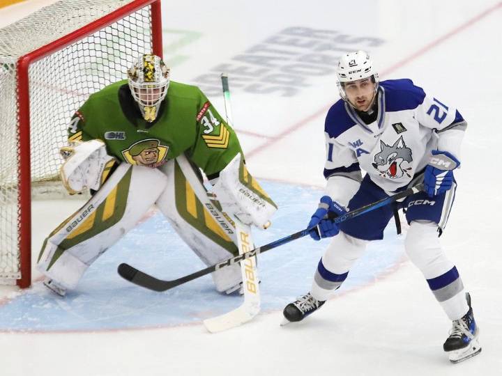 Sudbury Wolves look for bounce-back effort against North Bay Battalion