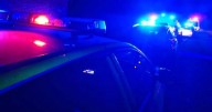 'Loads' of police cars on Hanley street as woman, 31, busted